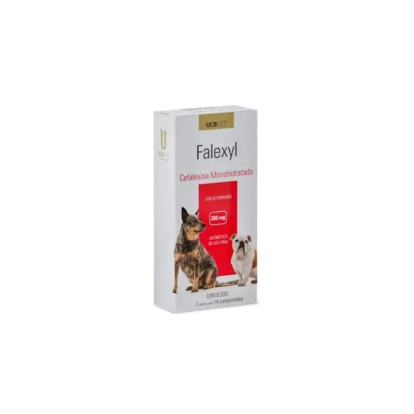 Falexyl Cartucho 14 x 300 mg