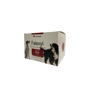 Falexyl Display 600mg 10 x 07 Comp.