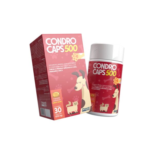 Condrocaps 500 com 30 Capsulas